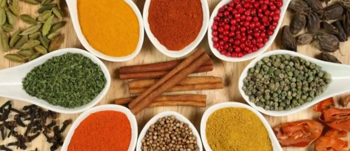 Spices & Serenity Tour-1